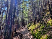 Great Smoky Mountains