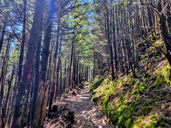 Great Smoky Mountains
