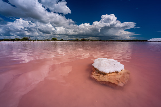 Cabo Rojo National Wildlife Refuge