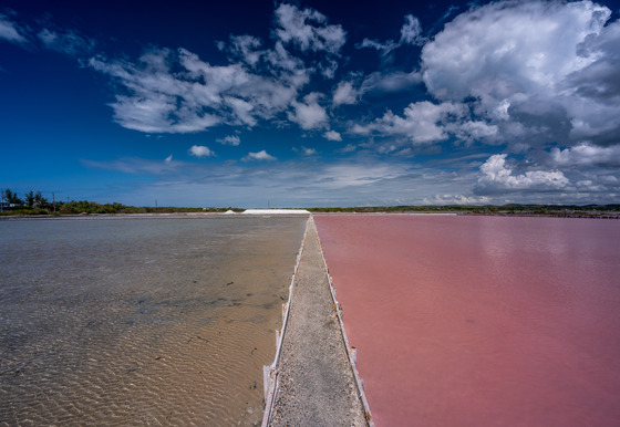 Cabo Rojo National Wildlife Refuge