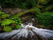 El Yunque National Forest