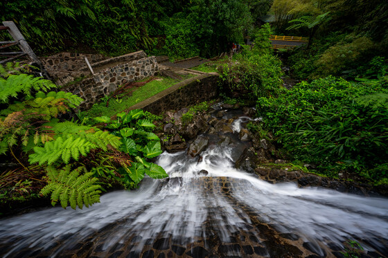 El Yunque National Forest