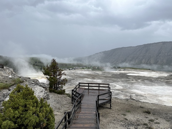 Yellowstone National Park