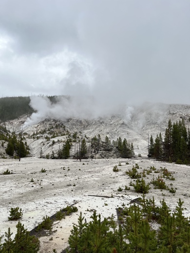 Yellowstone National Park