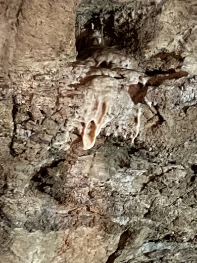 Oregon caves, national monument and preserve