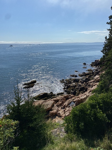 Acadia National Park 