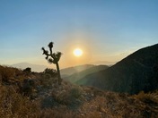 Joshua Tree National Park