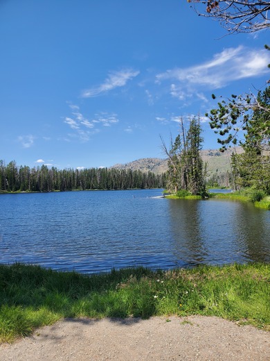 Yellowstone national park 