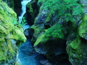 Glacier National Park