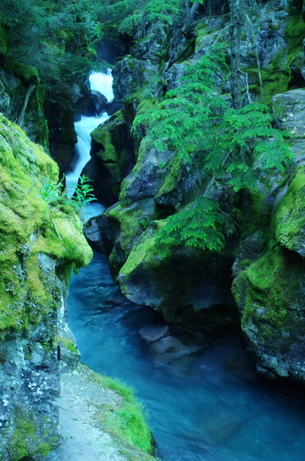 Glacier National Park