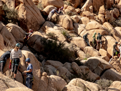 Joshua Tree