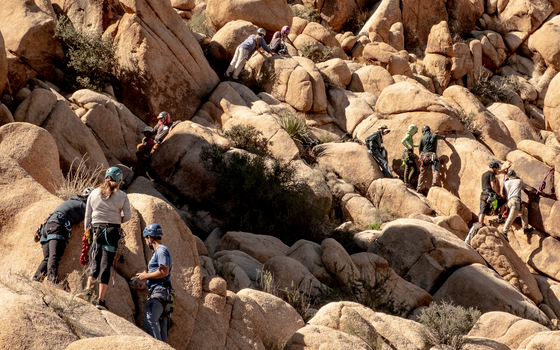 Joshua Tree