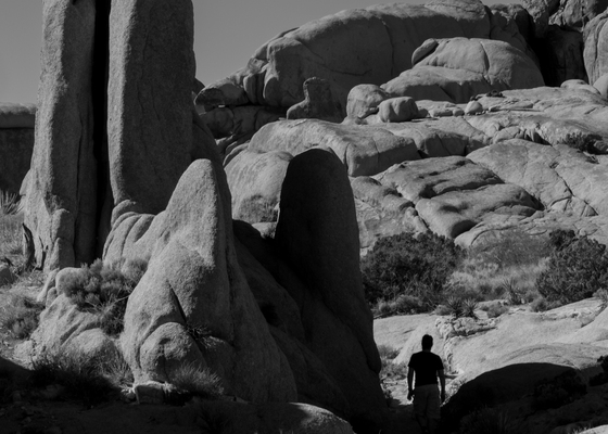 Joshua Tree National Park