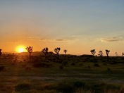 Joshua Tree National Park