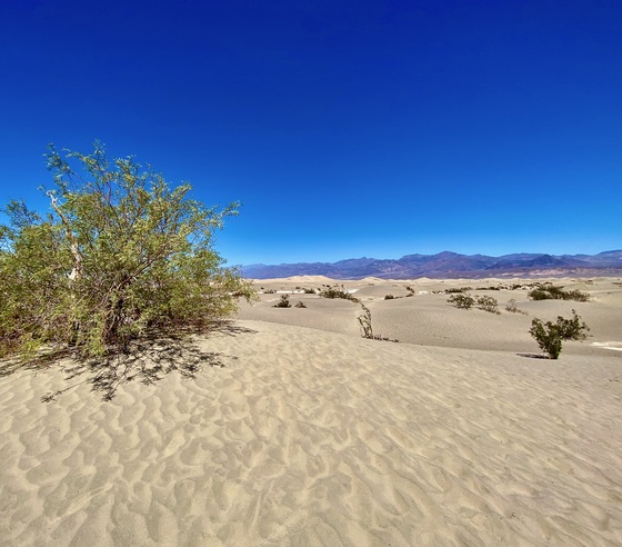Death Valley National Park