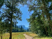 Yosemite National Park
