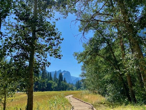 Yosemite National Park