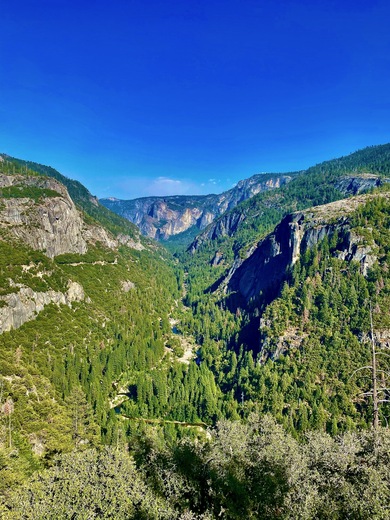 Yosemite National Park