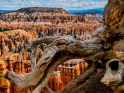 Bryce Canyon