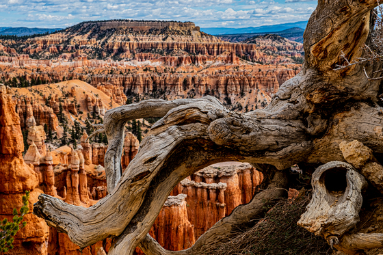 Bryce Canyon