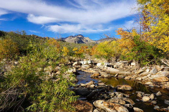 Sabino Canyon Recreation Area