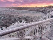 Icy railing and trees on the Upper Niagara River