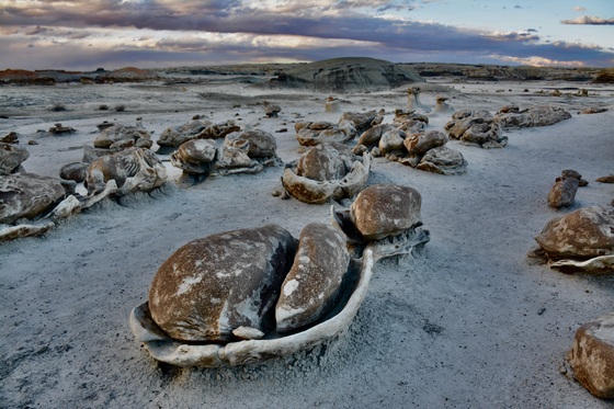 Ah-Shi-Sle-Pah Wilderness