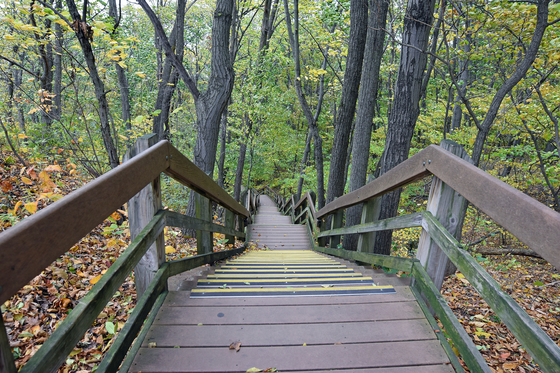Indiana Dunes National Park 
