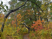 Indiana Dunes National Park 