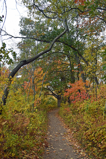 Indiana Dunes National Park 