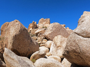 Joshua Tree National Park 