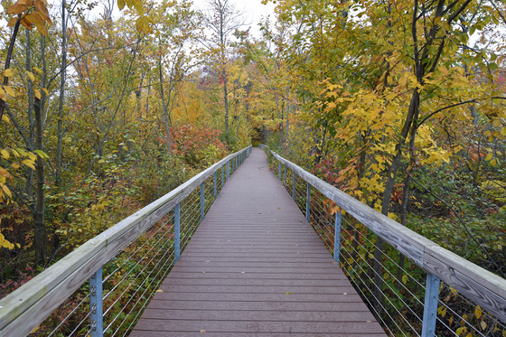 Indian Dunes National Park 
