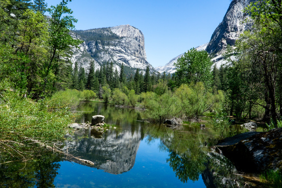 Yosemite National Park