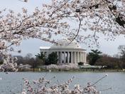 U.S. National Mall