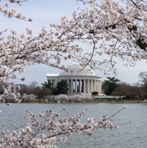 U.S. National Mall