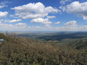 Cibola National Forest