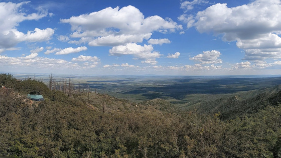 Cibola National Forest