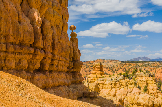 Dixie National Forest