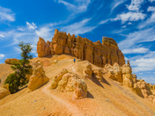 Dixie National Forest
