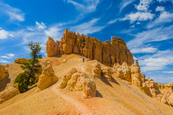 Dixie National Forest