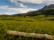 San Juan National Forest