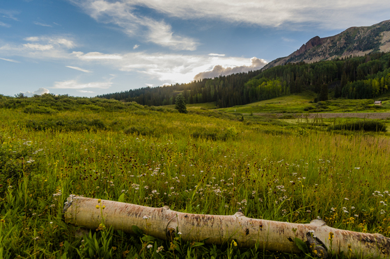 San Juan National Forest