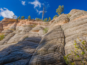 Coconino National Forest