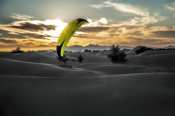 Imperial Sand Dunes Recreation Area