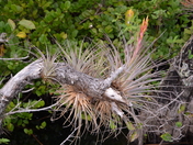 Everglades National Park
