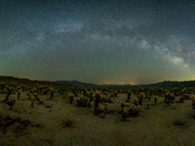 Joshua Tree National Park