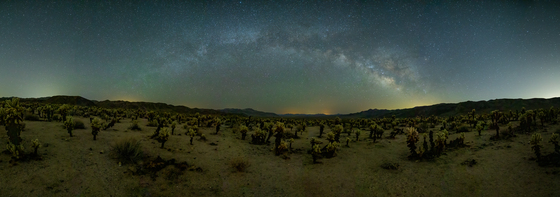 Joshua Tree National Park