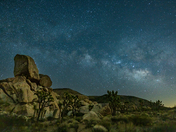 Joshua Tree National Park