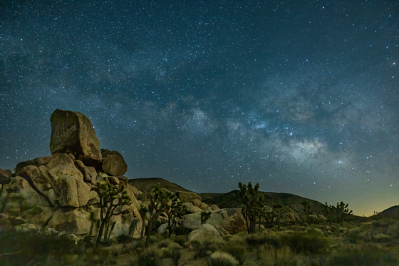 Joshua Tree National Park