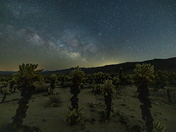Joshua Tree National Park